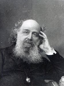 James Joseph Sylvester, inciso da George J. Stodart da English Photographer
